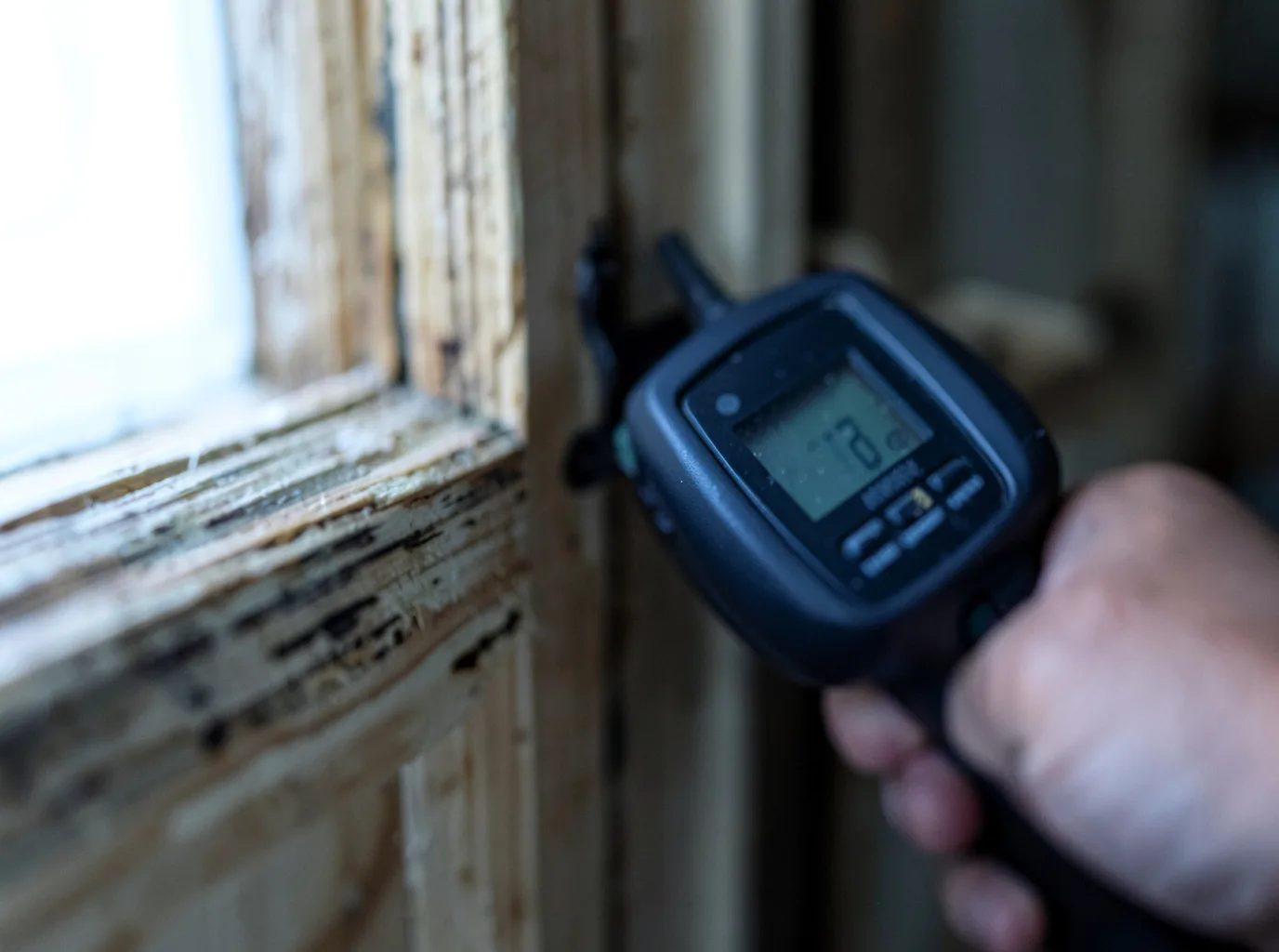 Moisture Inspection And Documentation in Hamtramck, MI